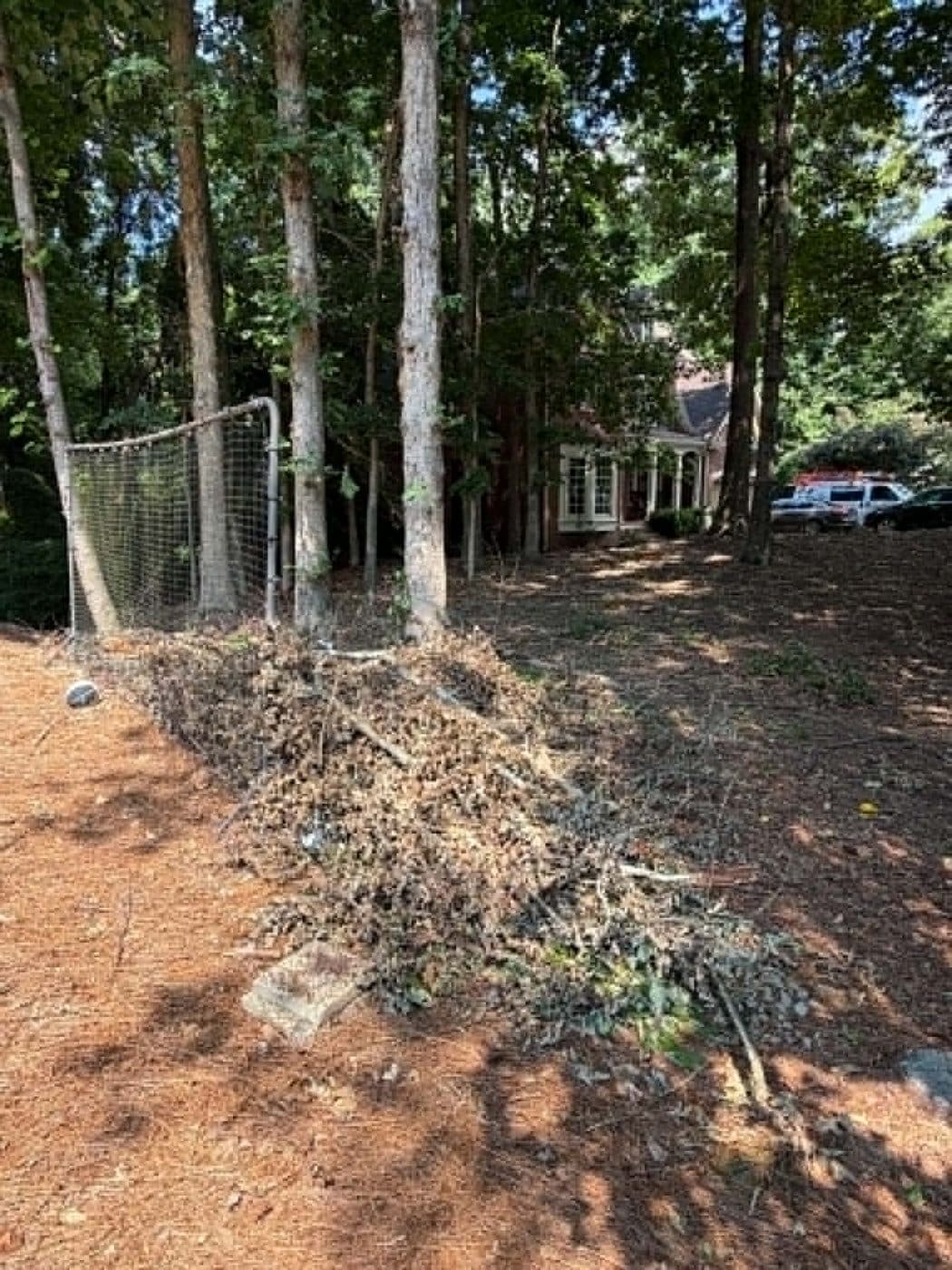 Yard brush and branch pile staged for junk removal in Cumming, GA